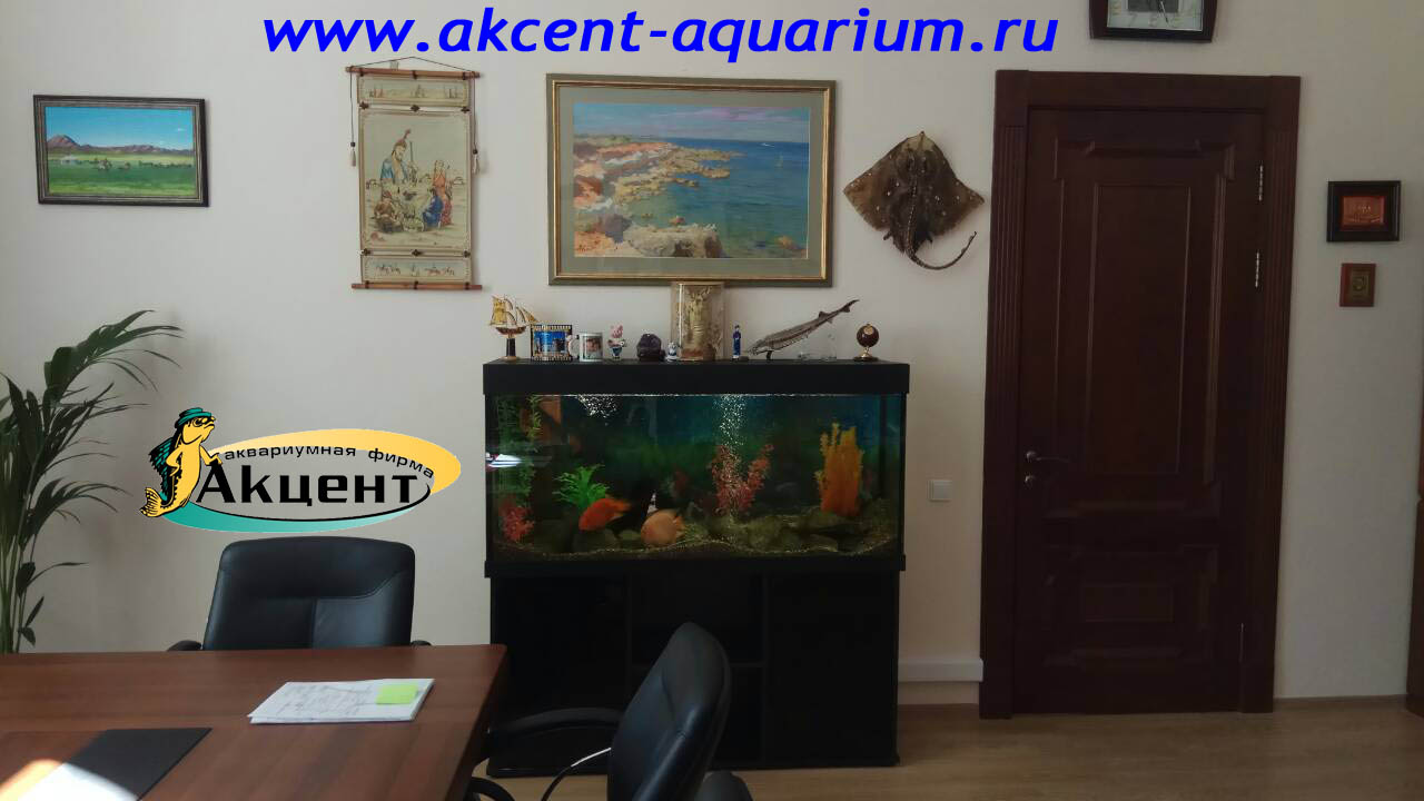 Акцент-аквариум, аквариум 400 литров, кабинет.